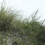 Atlantik, App 38 &quotsylter Bude&quot * ווסטרלנד